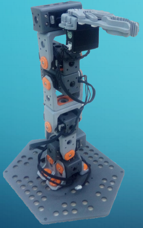 arm